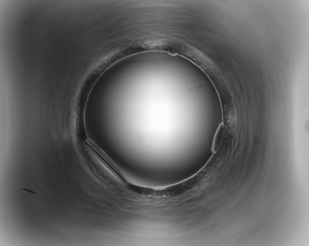 X0000088370732200706051041