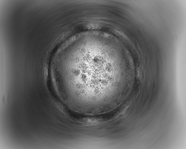 X0000088370733200706051041