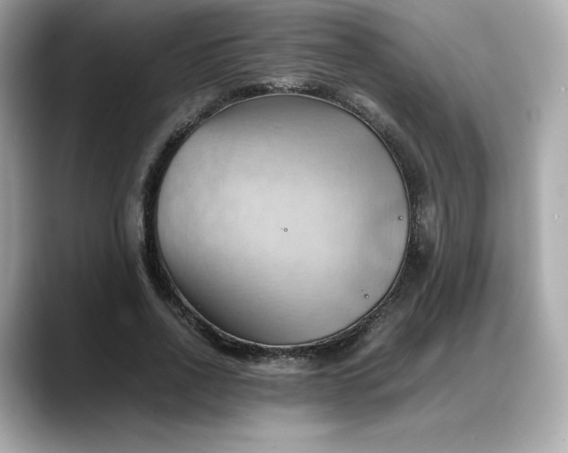 X0000088370734200706051041