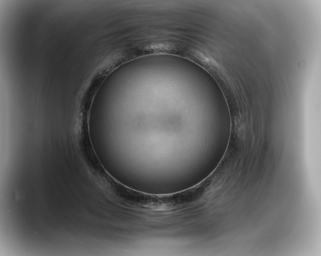 X0000088370735200706051041