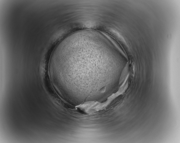 X0000088370736200706051041