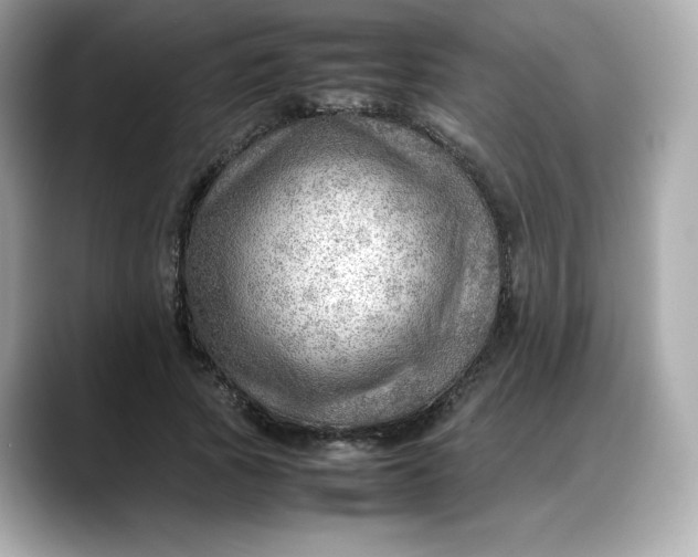 X0000088370737200706051041
