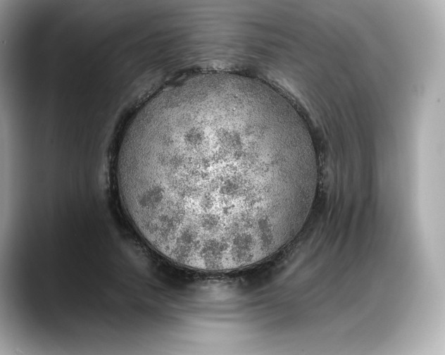 X0000088370738200706051041