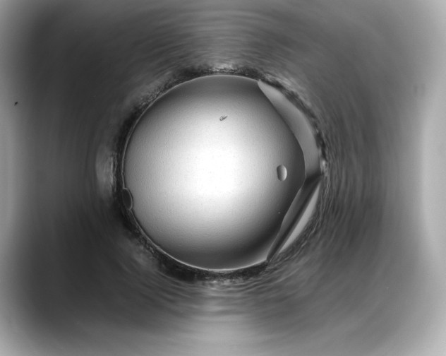 X0000088370740200706051041