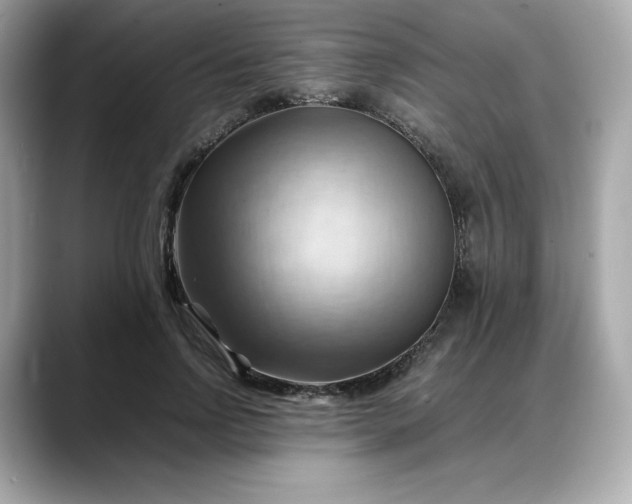 X0000088370742200706051041