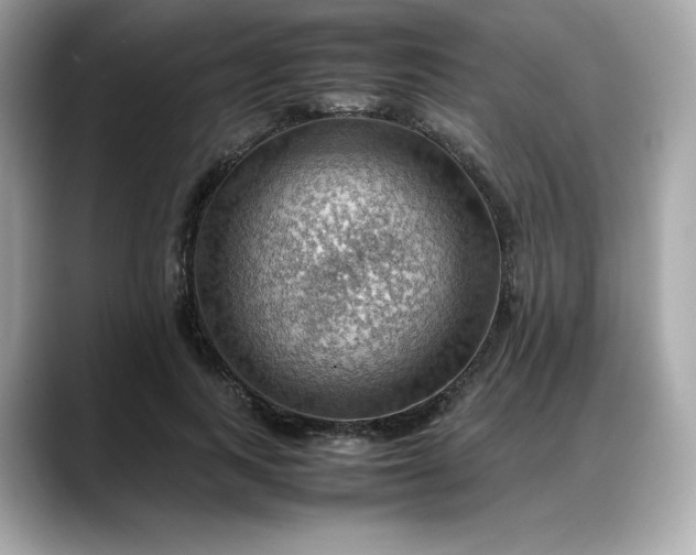 X0000088370743200706051041