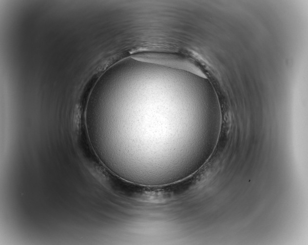 X0000088370744200706051041