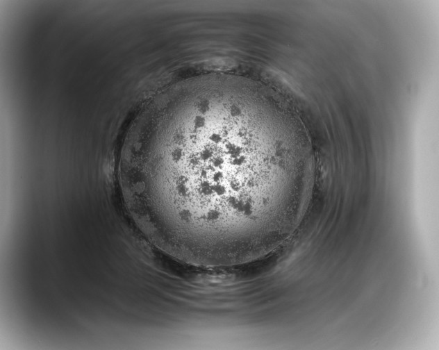 X0000088370745200706051041