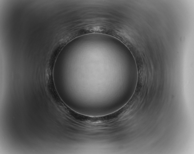 X0000088370747200706051041