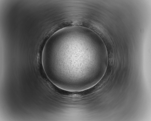 X0000088370748200706051041