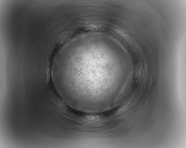 X0000088370749200706051041