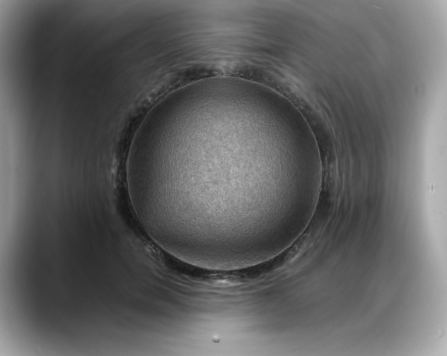 X0000088370750200706051041