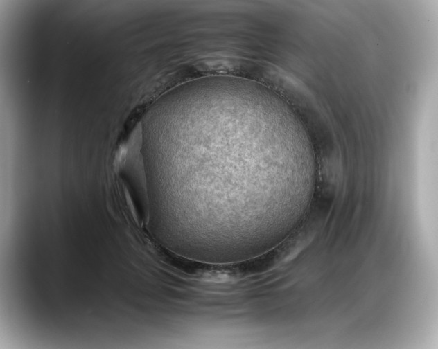 X0000088370751200706051041
