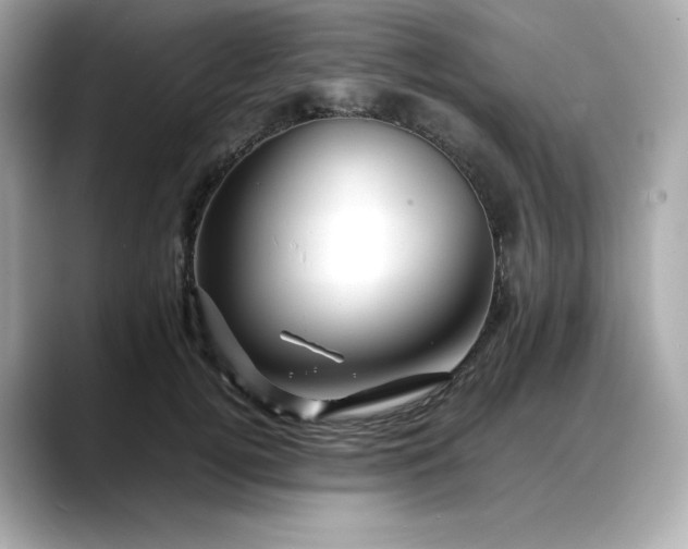 X0000088370752200706051041