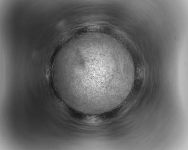 X0000088370753200706051041