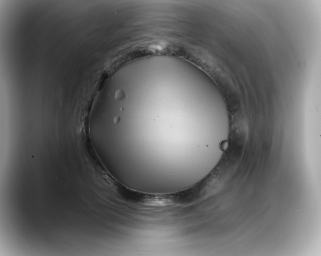 X0000088370754200706051041