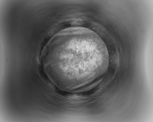 X0000088370755200706051041
