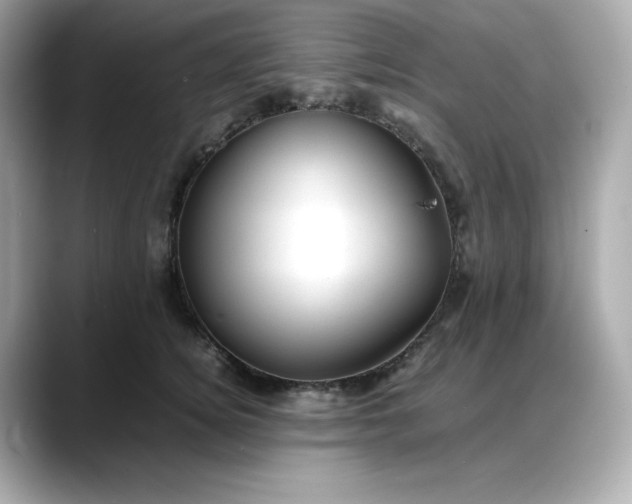 X0000088370756200706051041