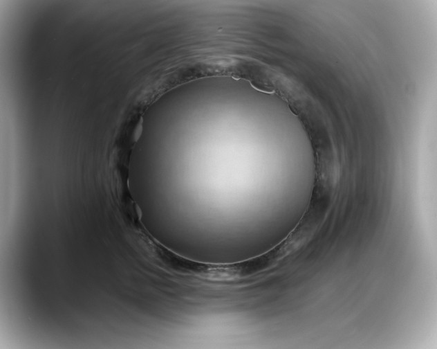X0000088370758200706051041