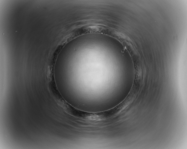 X0000088370759200706051041