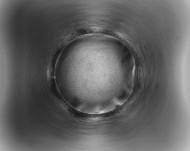 X0000088370760200706051041