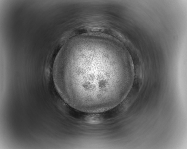 X0000088370761200706051041