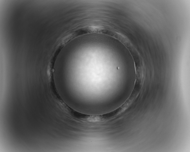 X0000088370762200706051041