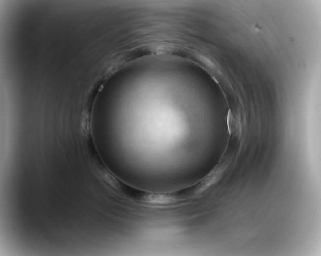 X0000088370766200706051041