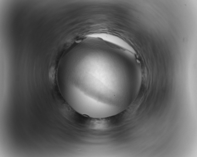 X0000088370767200706051041