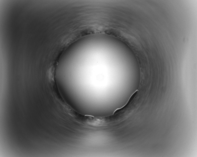 X0000088370768200706051041