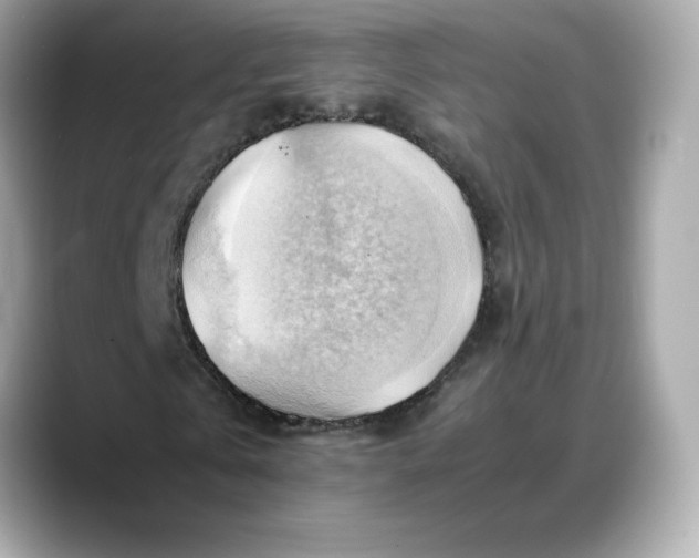 X0000088370769200706051041