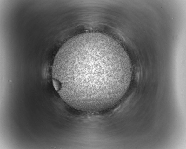 X0000088370770200706051041