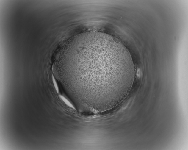 X0000088370771200706051041