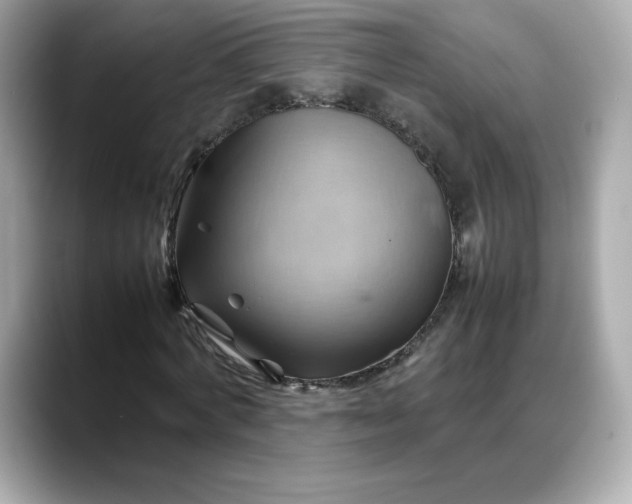 X0000088370772200706051041