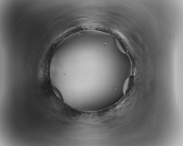 X0000088370775200706051041