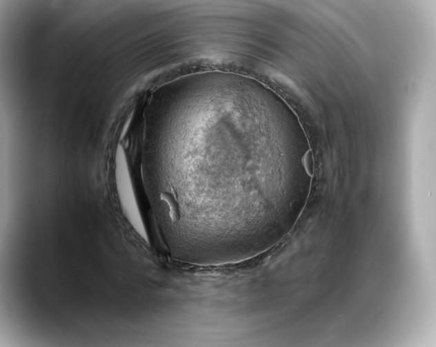X0000088370776200706051041