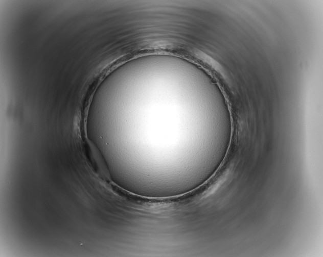 X0000088370778200706051041