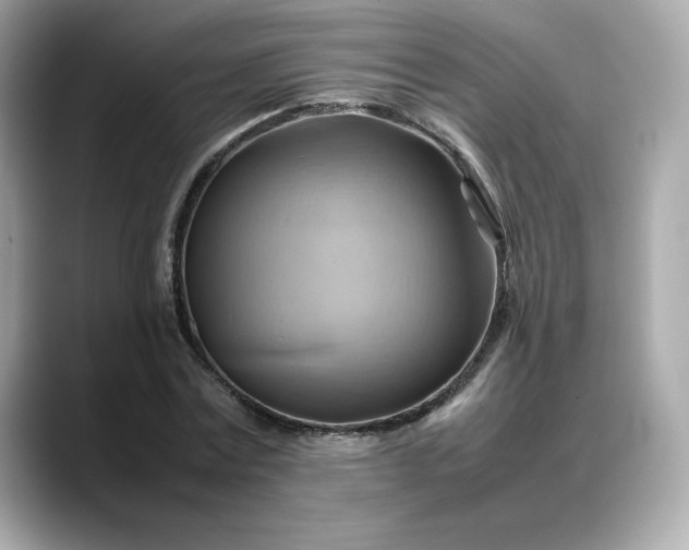 X0000088370779200706051040