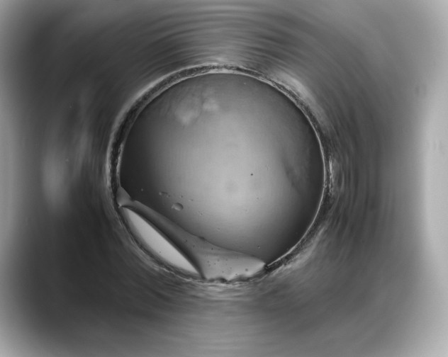 X0000088370780200706051040