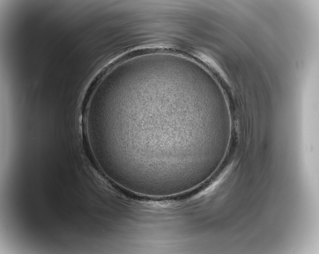 X0000088370781200706051040