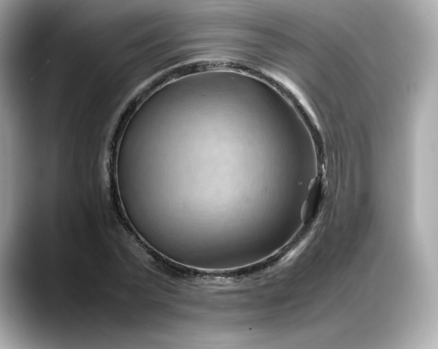 X0000088370783200706051040