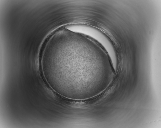 X0000088370784200706051040