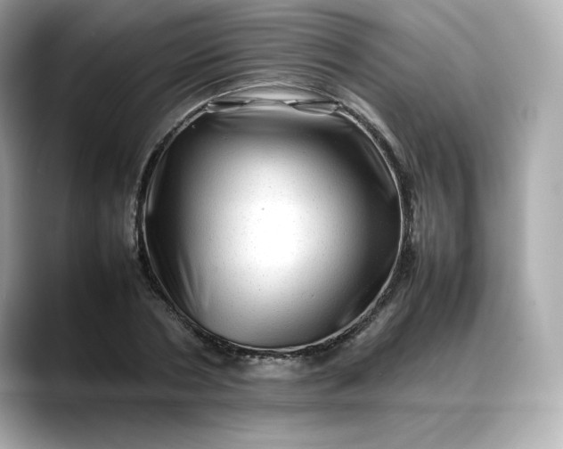 X0000088370786200706051040