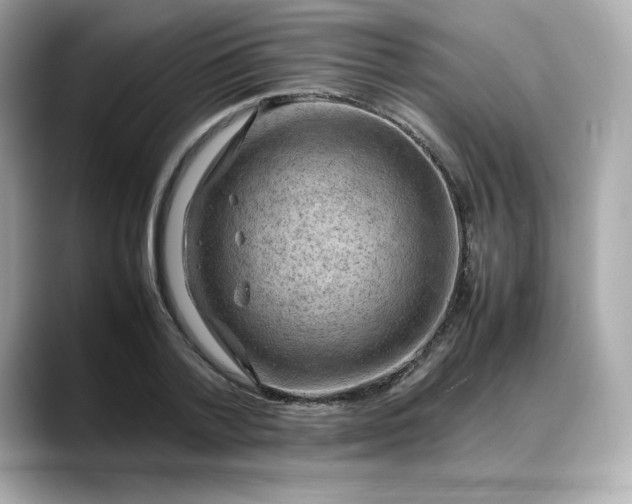 X0000088370788200706051040