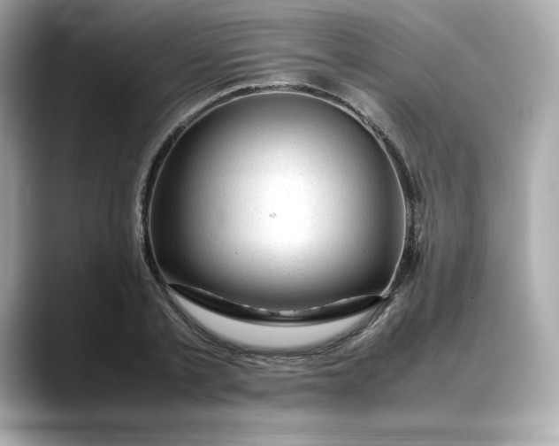 X0000088370789200706051040