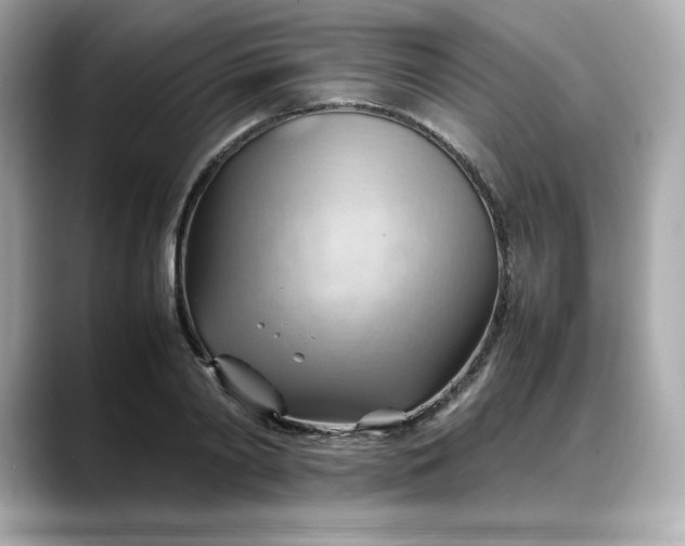 X0000088370790200706051040