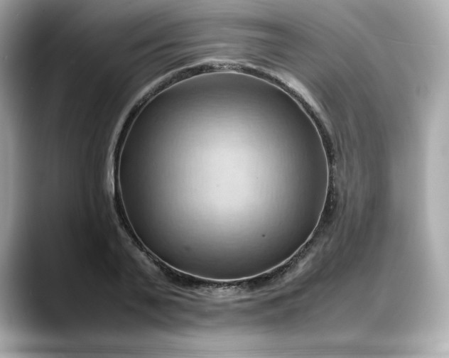 X0000088370791200706051040