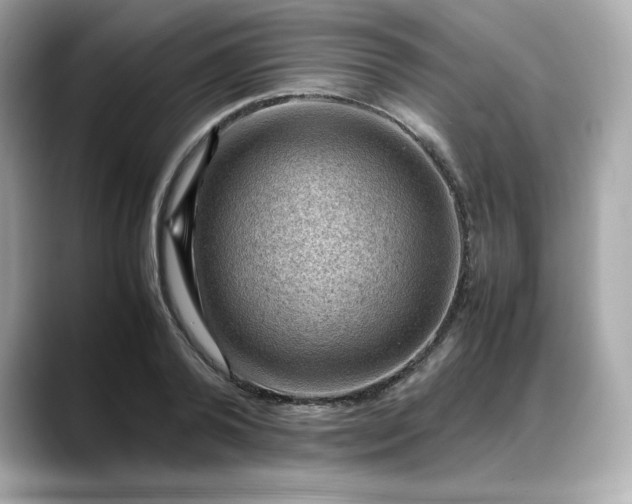 X0000088370792200706051040