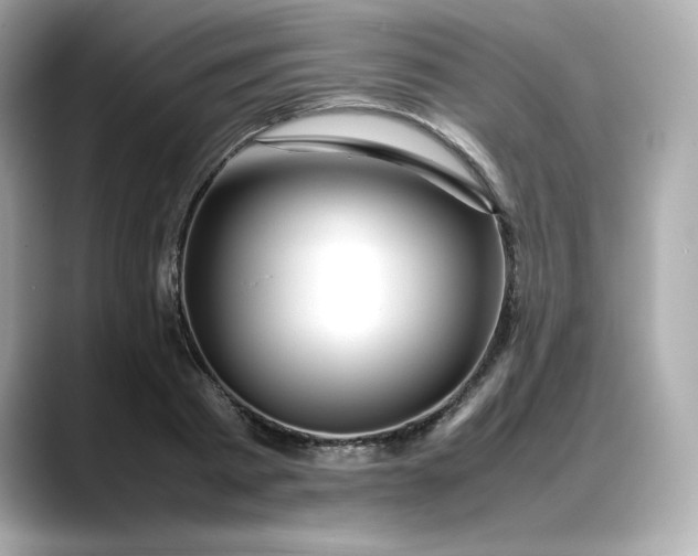 X0000088370793200706051040