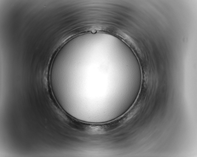X0000088370794200706051040